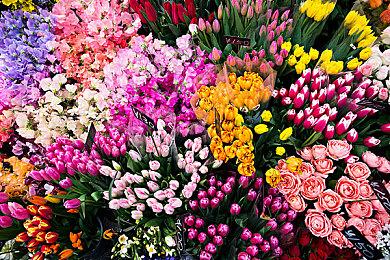 A19 Pro游戏性能爆升！3A大作实测最高提升70%